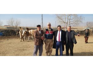 Çalınan hayvanlar sahibine teslim edildi