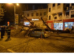 Gece yarısı korku dolu anlar... Dev ağaç otomobilin üzerine devrildi