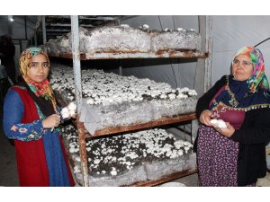 Gelin kaynana kendi işlerinin patronu oldu