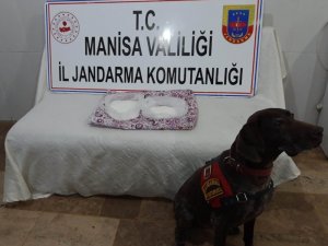 Manisa’da 500 bin liralık uyuşturucu madde ele geçirildi