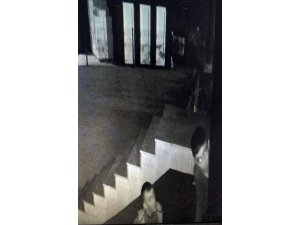 Adliyede kamu yararına çalışan şahıs hırsızlıktan tutuklandı