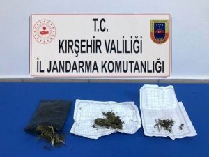 Jandarmadan kubar esrar operasyonu