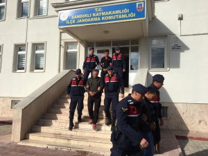 Büyükbaş hayvanı çalan hırsızlar serbest bırakıldı