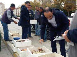 Satıcının el konulmak istenen balıklarını vermeme mücadelesi kamerada