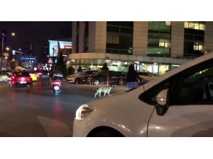 Kadın sürücü trafiği durdurup, yaya geçidinde bekleyen köpeği yolun karşısına geçirdi