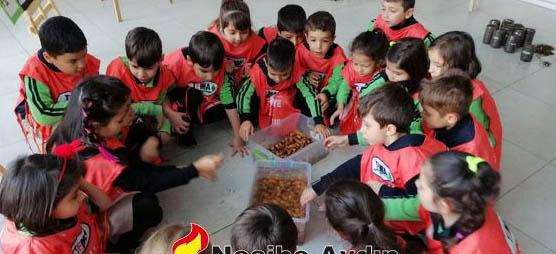 Nesibe Aydınlı minik öğrenciler, meşe palamutlarını toprakla buluşturdu