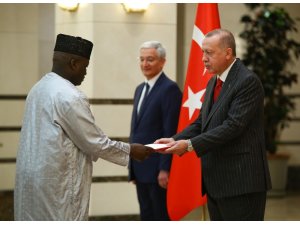 Cumhurbaşkanı Erdoğan, Gambiya Büyükelçisini kabul etti
