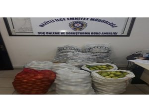 Limon hırsızları tutuklandı