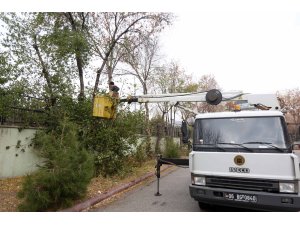 Yenimahalle'de budanan ağaçlar dar gelirlilere yakacak olarak dağıtılıyor