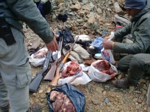 Kaçak yaban keçisi avına 30 bin lira ceza