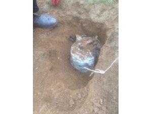 Bitlis’te araziye gizlenmiş EYP imha edildi