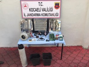 Evinde kenevir yetiştiren şahıs yakalandı