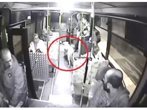 Halk otobüsüne binen sokak köpeği yolcuların maskotu oldu