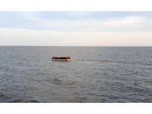 Muğla’da 49 göçmen yakalandı