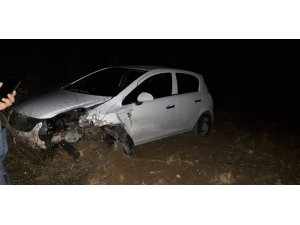 Domuz sürüsüne çarpan otomobilde 4 kişi yaralandı