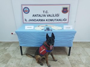 Laptop çantasında 1 milyon 250 bin liralık kokain ele geçirildi