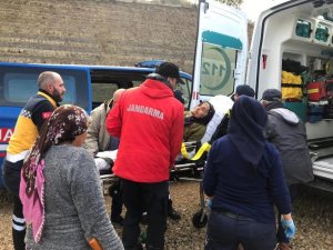 Zeytin toplamak için evden çıkan yaşlı kadın, 14 saat sonra bitkin halde bulundu