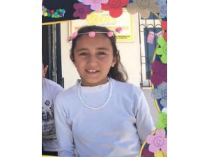 Lise öğrencisi trafik kazasında hayatını kaybetti