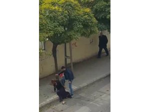 Eşine sokak ortasında şiddet uygulayan koca tekrar tutuklandı