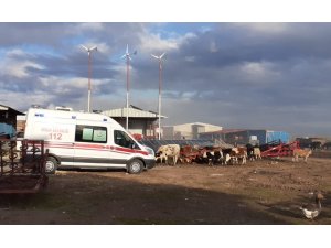 Çiftlikte çıkan yangın büyümeden kontrol altına alındı