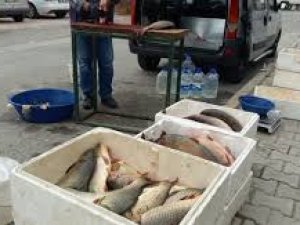 Denetim görevlilerine yapılan bıçaklı saldırı girişimine kınama