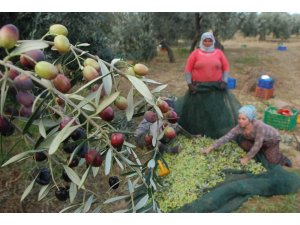 İlaçlama yok, kalite var