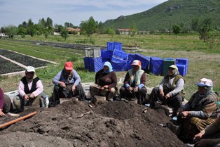 Fidanlıkta çalışıp çocuklarını okutuyorlar