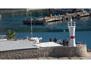 Falezlerden ölüme atladığı anlar görüntülendi