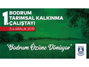 Bodrum turizm ve tarımı buluşturuyor