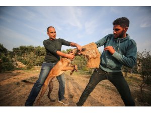 Gazze'de ablukaya rağmen hayalindeki köpek eğitim okulunu açtı