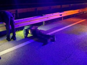 Yolun karşısına geçmeye çalışırken can verdi