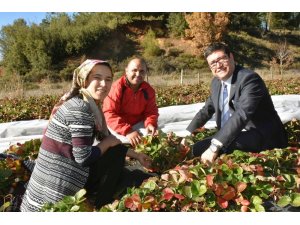 Saylak çiftçi ziyaretlerine başladı