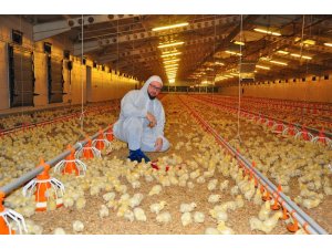 Gazetede gördü, devlet desteğiyle milyonluk tesis sahibi oldu