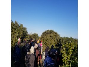 Çanakkale’de 91 mülteci yakalandı