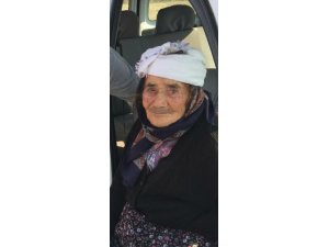 Sokak köpeği, yaşlı kadının yüzünü parçaladı