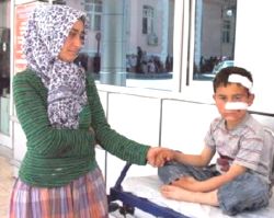 Kangal köpeği dehşet saçtı! |