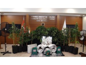 Avcılar’da evi uyuşturucu serasına çevirmişler