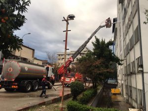 Adana'da Ceyhan Belediye binasında çıkan yangın söndürüldü