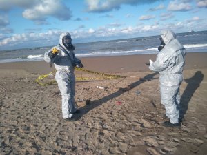 Karasu sahilinde bulunan askeri mühimmat AFAD’ı harekete geçirdi