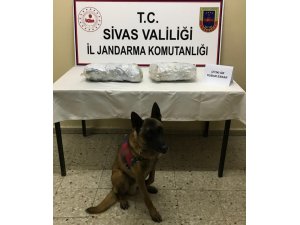 Sivas’ta 3 kilo 155 gram esrar ele geçirildi