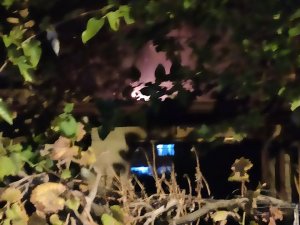 Samandağ’da kulübede çıkan yangın kontrol altına alındı