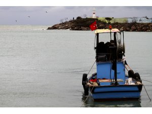 Hamsi Batı Karadeniz'i terk ediyor