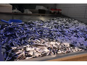 Deniz soğudu, hamsi büyüdü