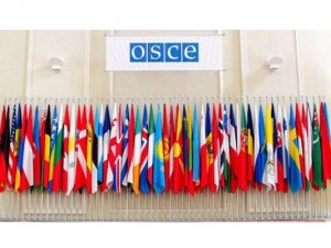 AGİT'ten Fransa'ya "AA foto muhabiri" tepkisi