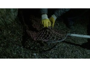 Yaralı sansara polisler sahip çıktı