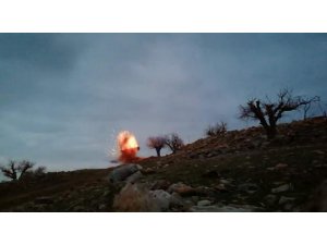 Köylüler buldu, jandarma imha etti