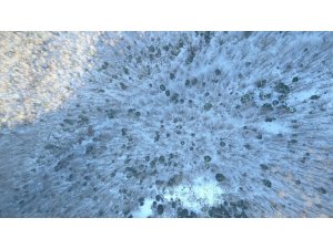 Uludağ’da kayıp olan iki dağcı drone ile arandı