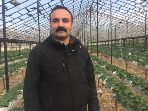 Hatay’da topraksız tarım başladı