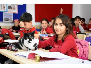 Minik öğrencilerin okulu sahipsiz "Kartal"a yuva oldu