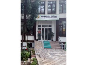 Beypazarı Orman İşletme Müdürlüğüne 3 yeni şeflik